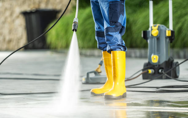Best Pressure Washing Driveway  in Rohnert Park, CA